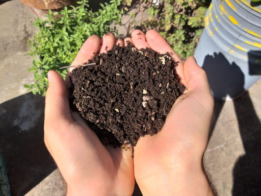 Día de la Tierra Descubrir Buenos Aires
